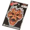 Planet Waves GTR TATTOO-FLAME WHIP SKULL