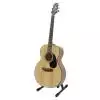 Takamine G220S