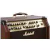 Marshall AS100D