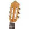 EverPlay Luthier-1 3/4 cedr
