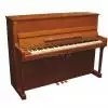 AN T.Piano Up 113