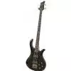 Schecter Riot Deluxe 4