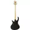 Schecter Riot Deluxe 4