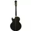 Epiphone PR 5E EB