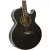Epiphone PR 5E EB