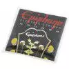 Epiphone 10-46