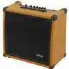 Stagg AA60R