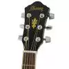 Ibanez AEG8E BK