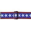 Planet Waves 50PLA10 Stars and Stripes