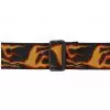 Planet Waves 50PLA01 Flames