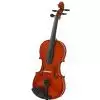 Verona Violin FT-V11 ?