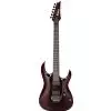 Ibanez RGA 420Z PRT