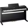 Roland RP 301 SB