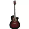 Ibanez A300E TCS