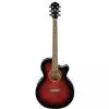 Ibanez AEG8E TRS