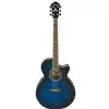 Ibanez AEG10E TBS