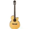 Ibanez AEG10NE NT