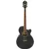 Ibanez AEG20E TG
