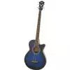 Ibanez AEGB20E TBS