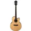 Ibanez AEL10E NT