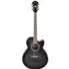 Ibanez AEL20E TKS