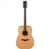 Ibanez AW 250 LG