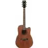 Ibanez AW250ECE RTB