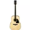 Ibanez AW 300 NT