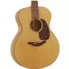 Furch G20-CM