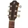 Furch G20-CM