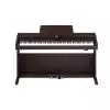 Roland RP 301R RW
