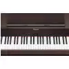Roland RP 301R RW