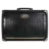 Peavey Ecoustic E208