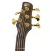 Ibanez SR5 XXV VNF Soundgear Premium