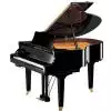 Yamaha GC1 SH PE Baby Grand Silent