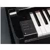 Yamaha NU1
