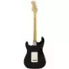 Fender Standard Stratocaster RW Black