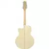 Takamine EG523SC 12