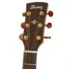 Ibanez AW3050CE LG