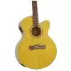 Epiphone Joan Sebastian Sonador