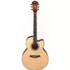 Ibanez AEL40S DVS