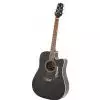 Takamine EG321C