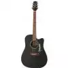 Takamine EG321C