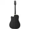 Takamine EG321C