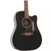 Takamine EG321C