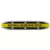 Seydel 10301CS Blues Session Steel C Summer Edition