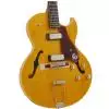 Epiphone Sorrento 1962 anniversary NA