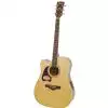 Ibanez AW 70 LECE NT