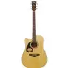 Ibanez AW 70 LECE NT