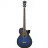 Ibanez AEGB20E TBS